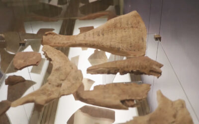 Le Collezioni Egittologiche “Edda Bresciani” dell’Università di Pisa